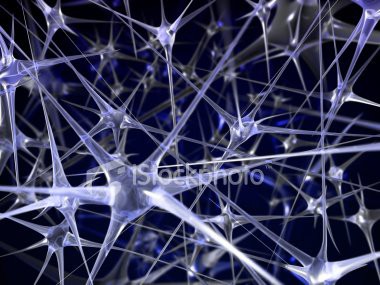 Rede Neural. Computadores com cérebros quase humanos!